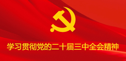 学习贯彻党的二十届三中全会精神